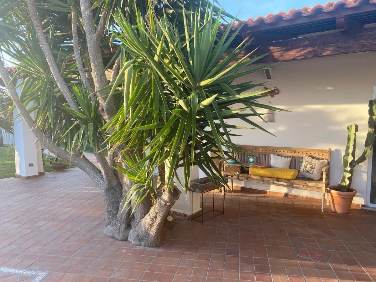 Dimorra Sun And Relax Βίλα Forio di Ischia Εξωτερικό φωτογραφία