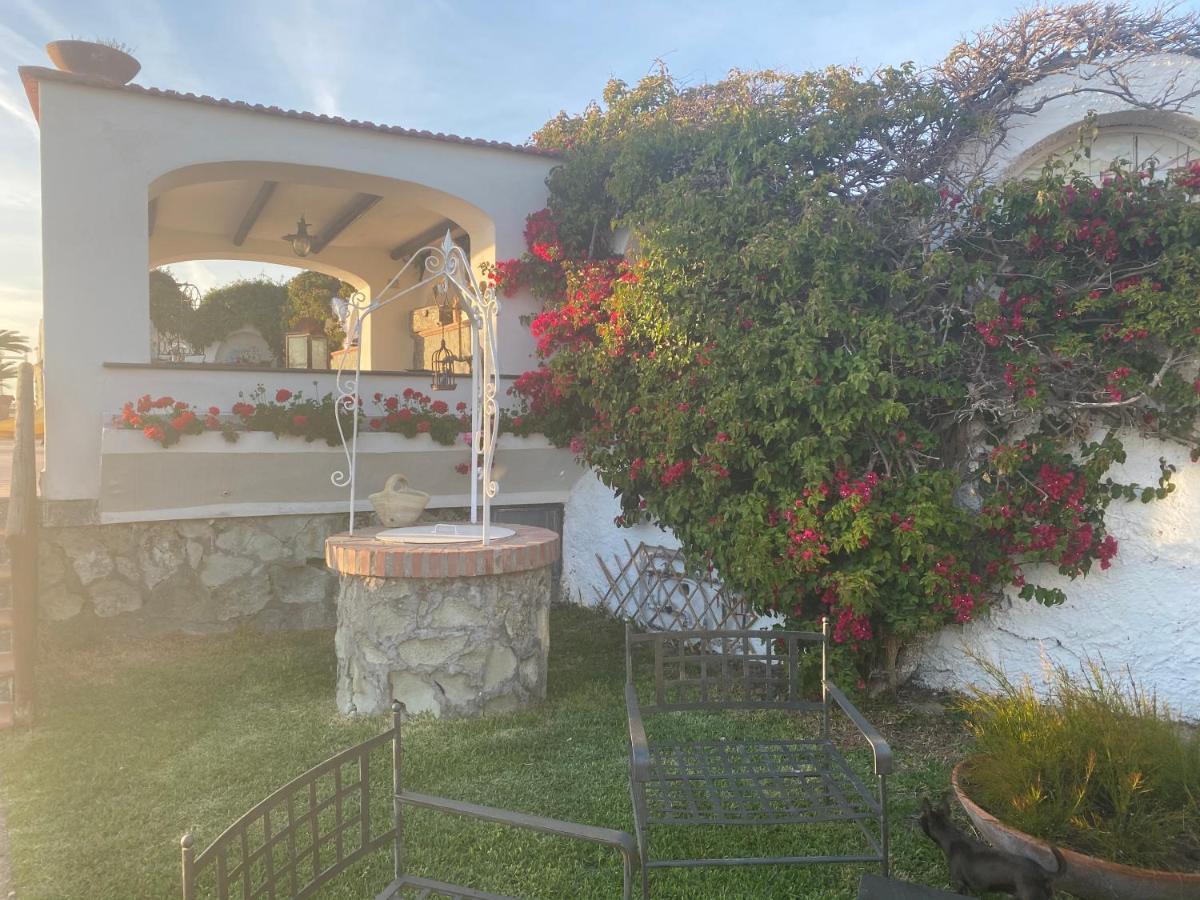 Dimorra Sun And Relax Βίλα Forio di Ischia Εξωτερικό φωτογραφία